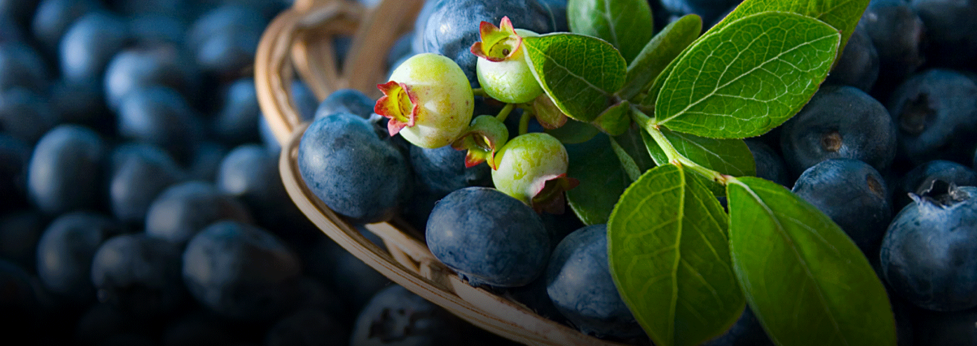 Egyedülálló, természetes ízek.